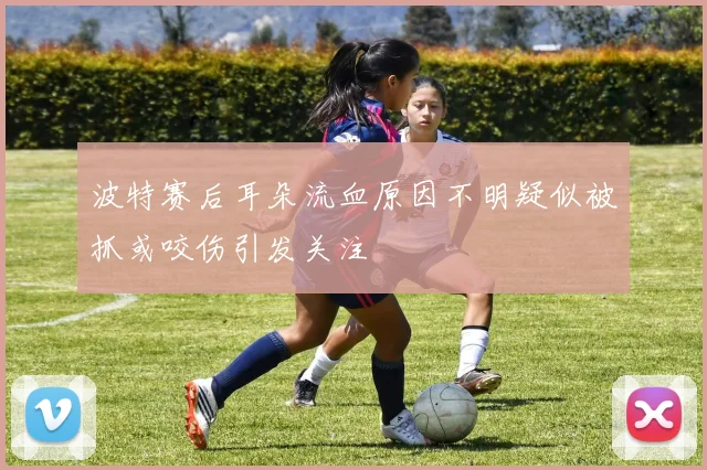波特赛后耳朵流血原因不明疑似被抓或咬伤引发关注